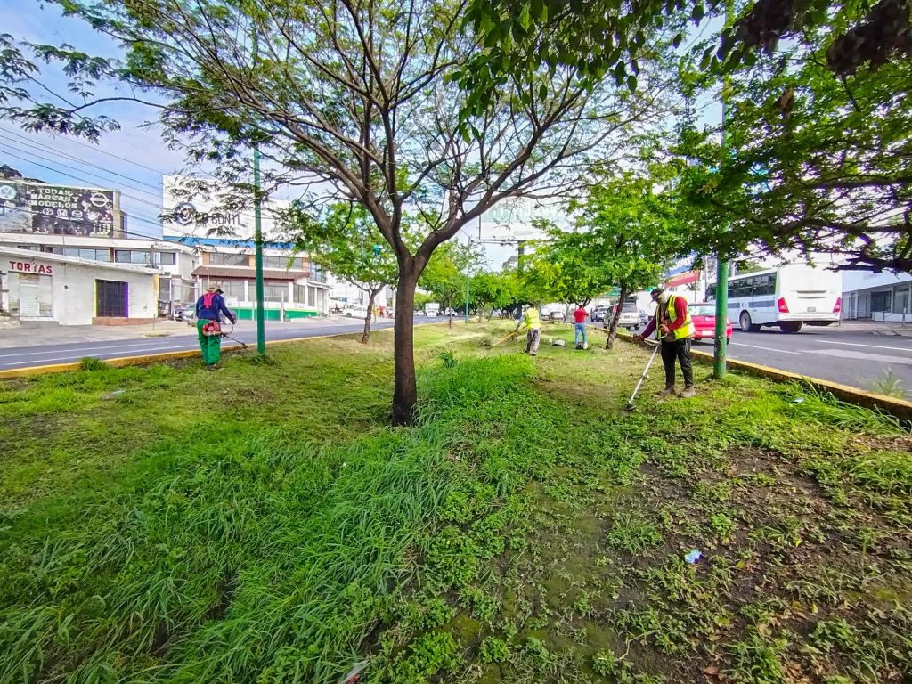 SERVICIOS PÚBLICOS PARQUES