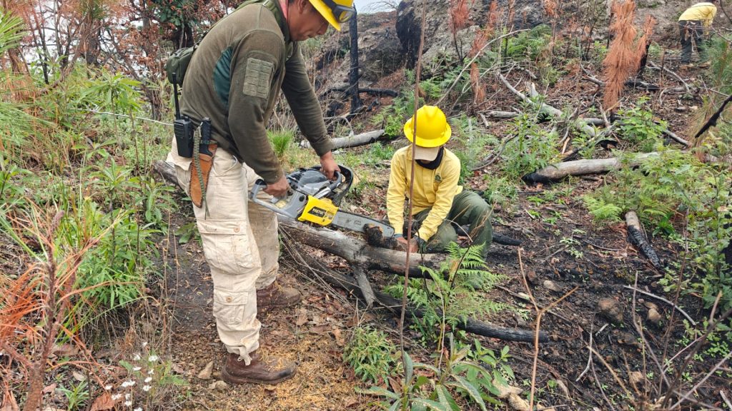 TRABAJO TRAS INCENDIOS EN TEPOZTLÁN