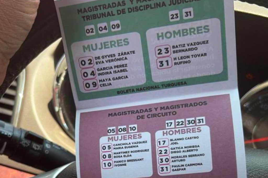 INE propone multas a 118 candidatos por "acordeones"