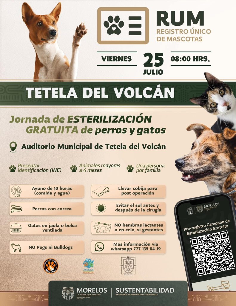 Jornadas de esterilización para perros y gatos en Tetela y Cuernavaca