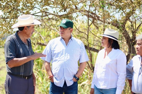 Morelos alerta a productores del campo por la canícula