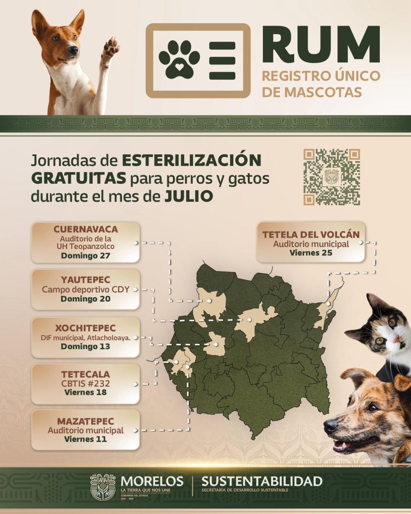 Impulsa Morelos registro y esterilización de mascotas con el ERUM