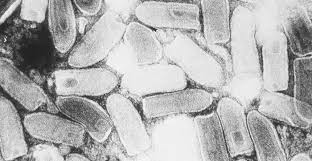 Fallece joven en Zacatecas por probable caso de rabia humana