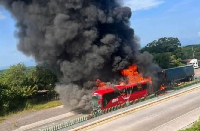 Accidente entre autobús y tráiler en Veracruz deja lesionados