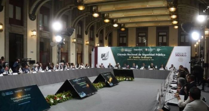 Consejo Nacional de Seguridad destaca reducción de delitos