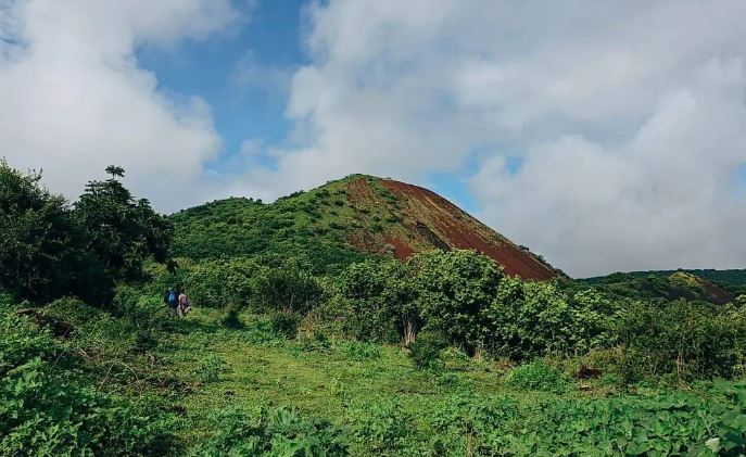 Exigen justicia tras asesinato de lideresa de ASURCO en Morelos