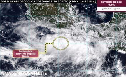 Tormenta tropical Narda