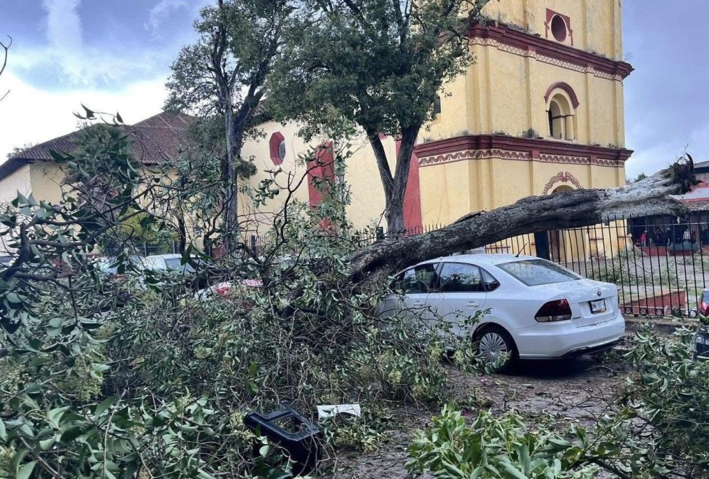 Tornado conocido como "Culebra" deja daños en San Cristóbal