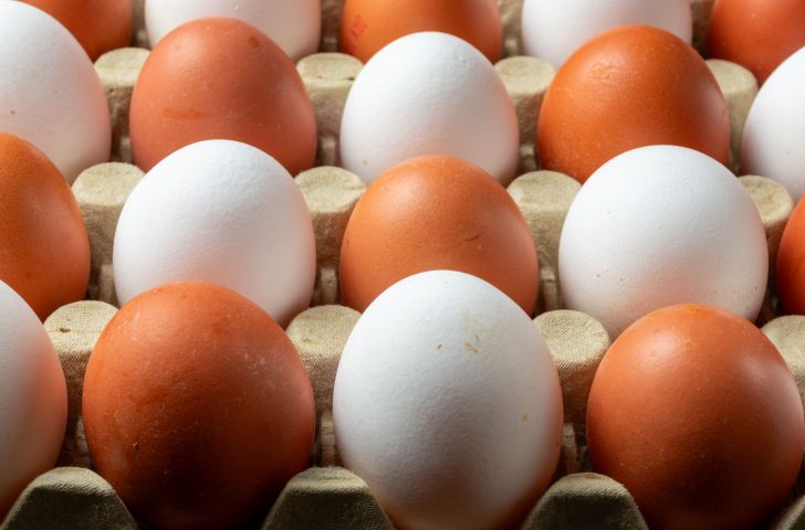 Retiran 6 millones de huevos por salmonela