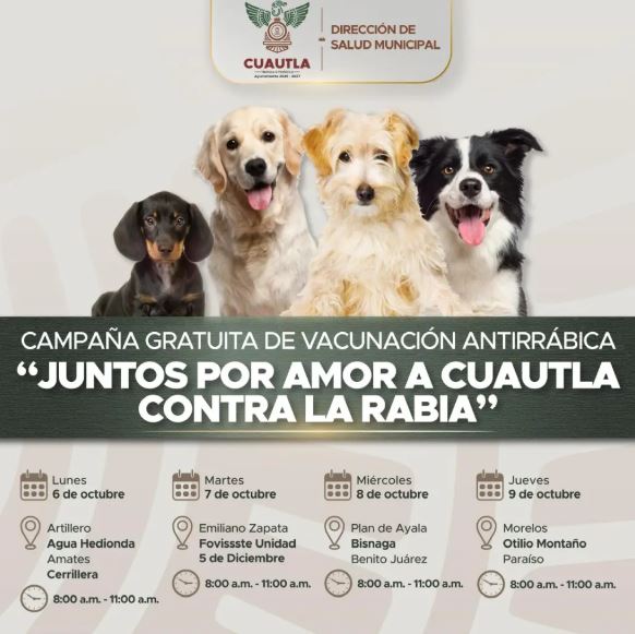 Cuautla campaña de vacunación perros y gatos