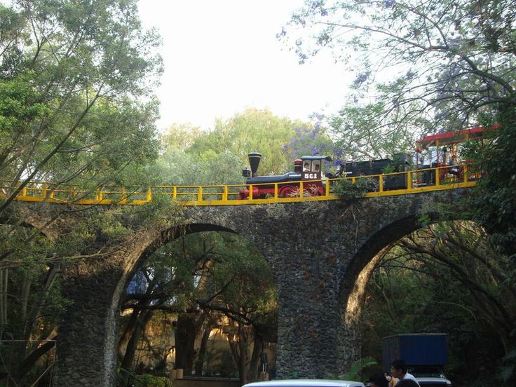 Tren barranca Chapultepec regresa