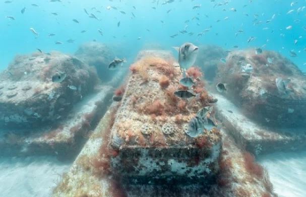 Autos hundidos se convierten en arrecifes